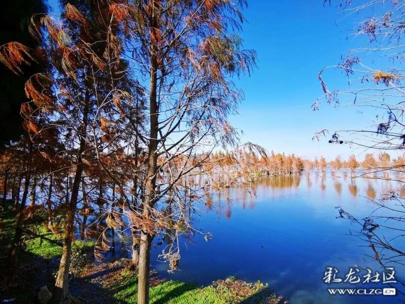 亚当寻找夏娃5