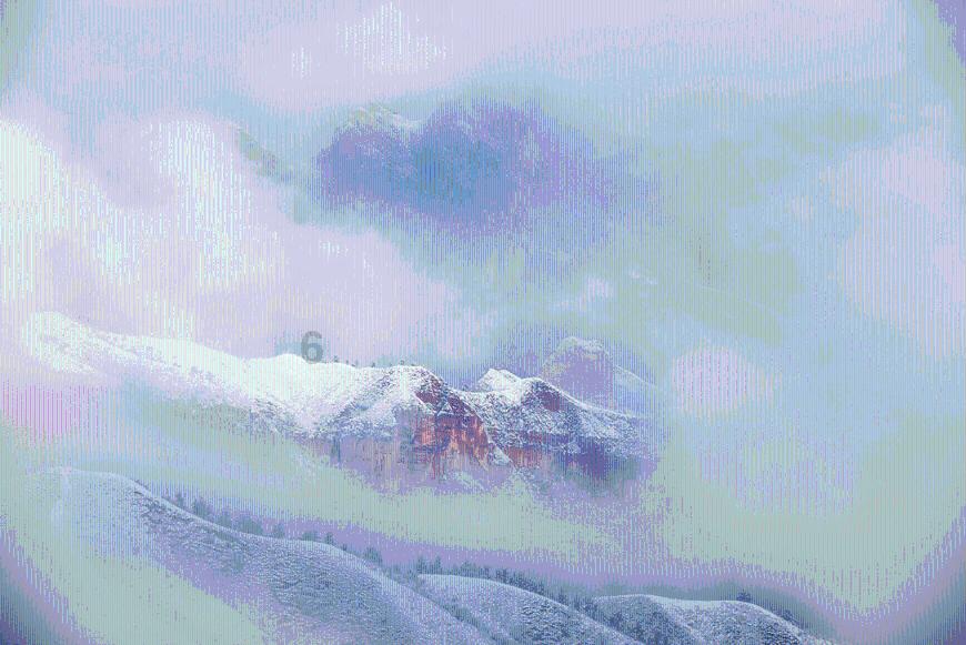 仓鼠学拼音