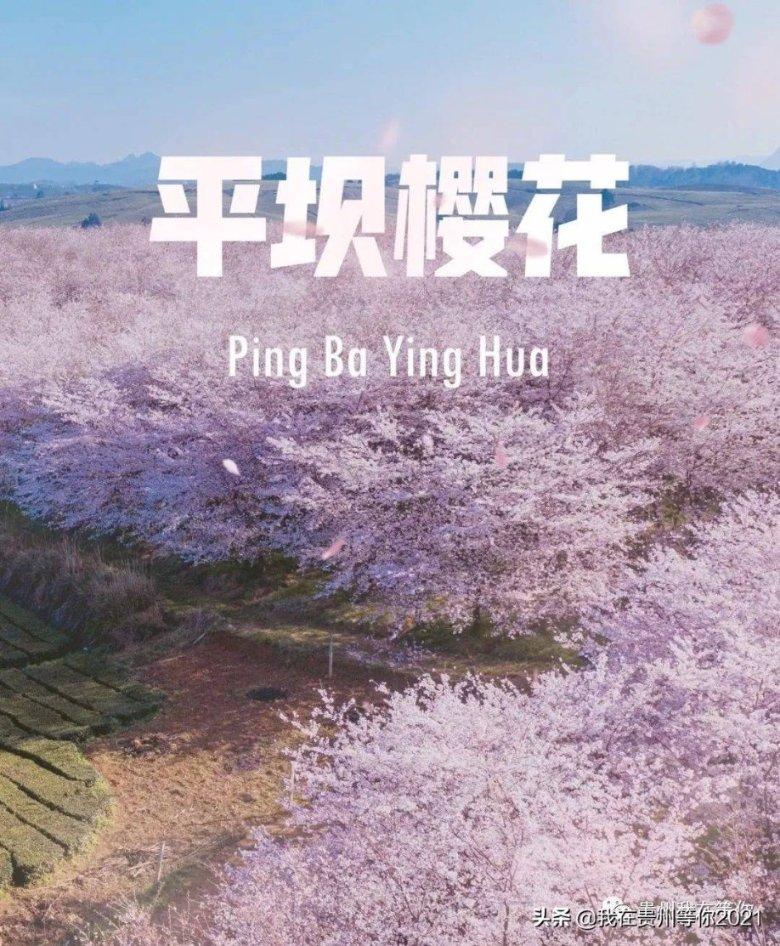刺激战场