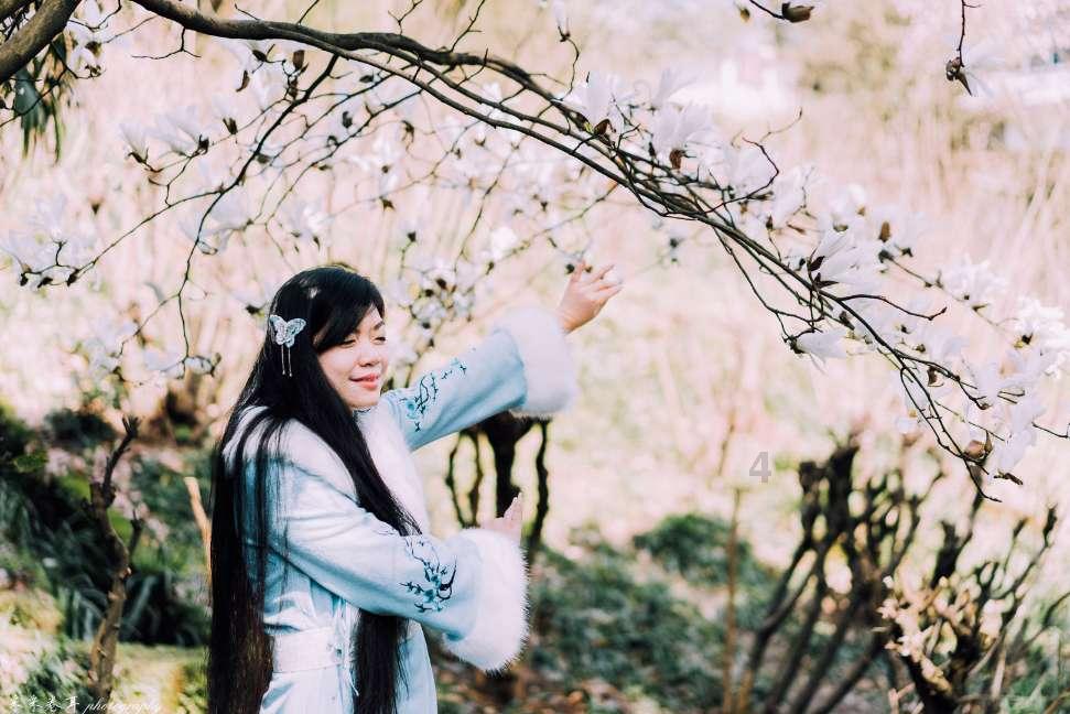 披萨找不同