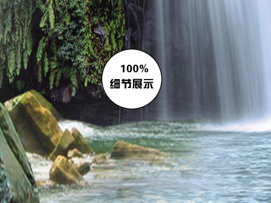 小猫钓鱼游戏龙王版有船
