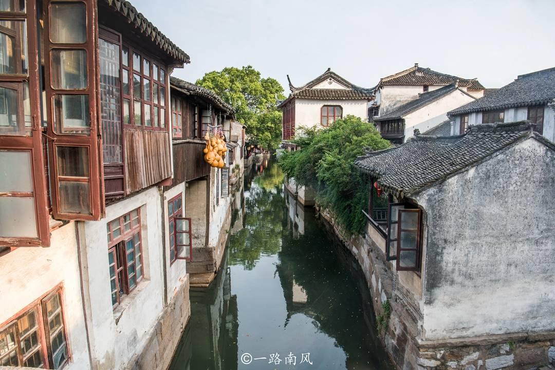 动物帮帮忙保卫家园